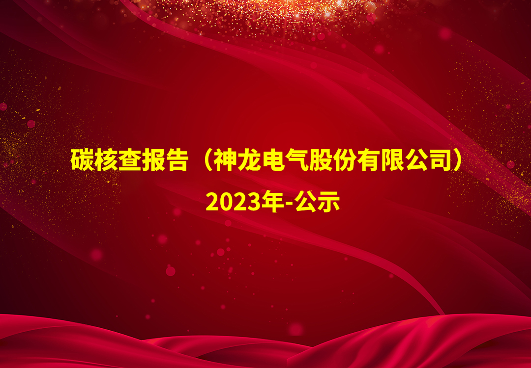 碳核查報(bào)告（神龍電氣股份有限公司）-2023年